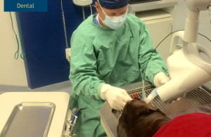 Veterinary Hospital Dental