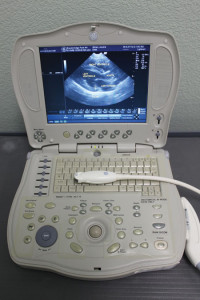 Veterinary Hospital Ultrasound