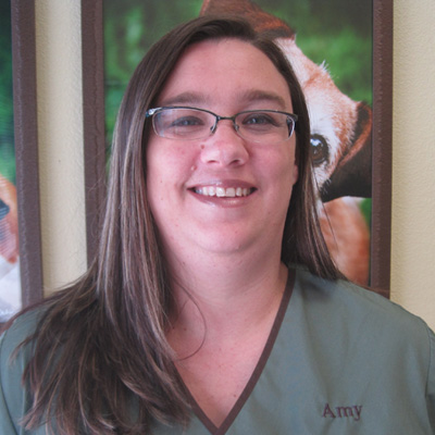 Veterinary staff Amy